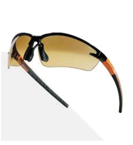 Delta Plus Fuji2 Safety Glass